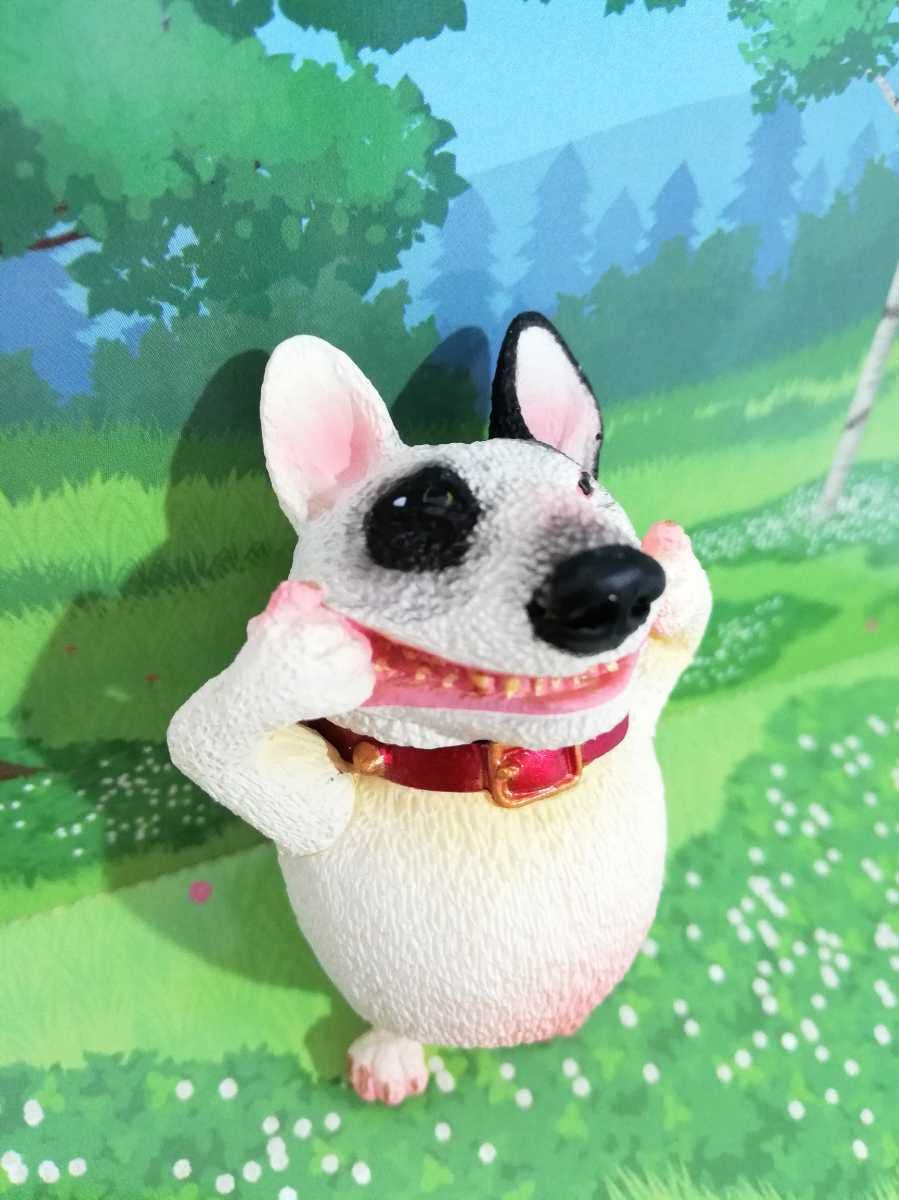 Amazon.co.jp: 朝隈俊男 ブルテリアレアカラー 犬 ハイポーズ 動物